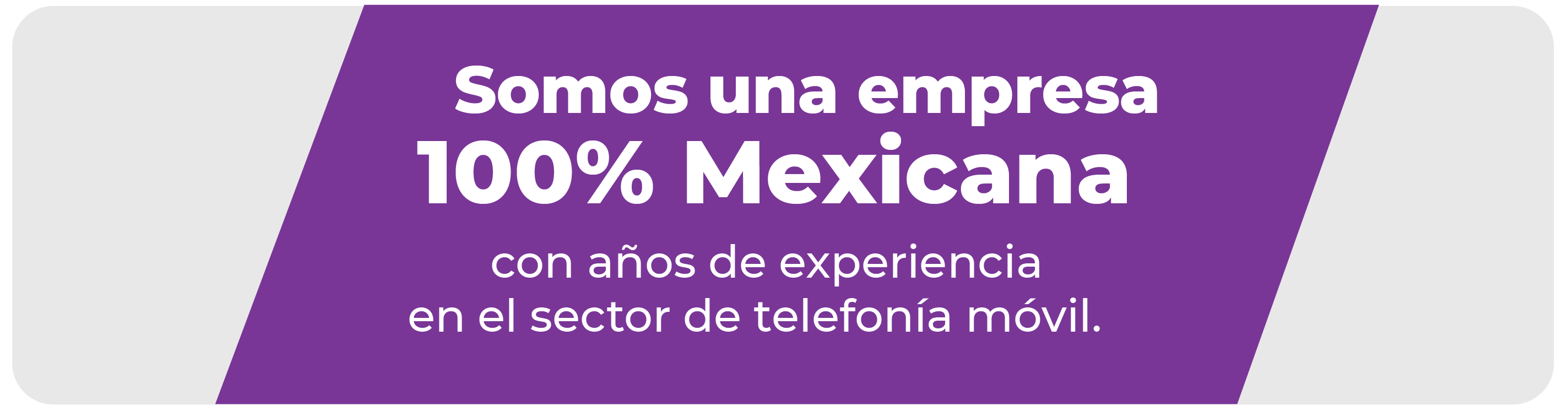 Versión móvil